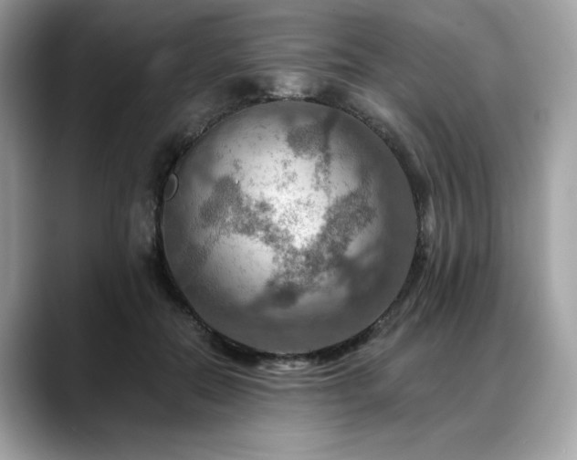 X0000088750554200705311514