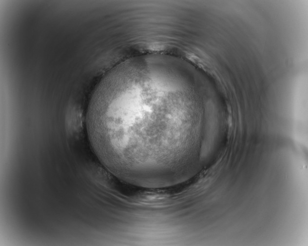 X0000088750555200705311514