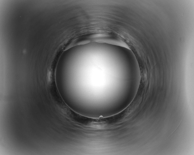X0000088750556200705311514