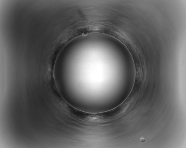 X0000088750557200705311514