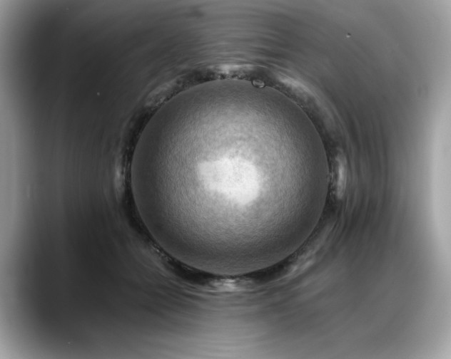 X0000088750558200705311514