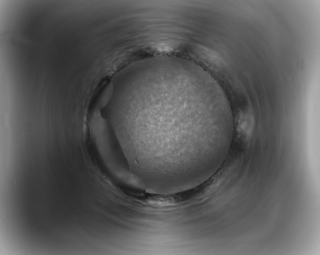 X0000088750559200705311514