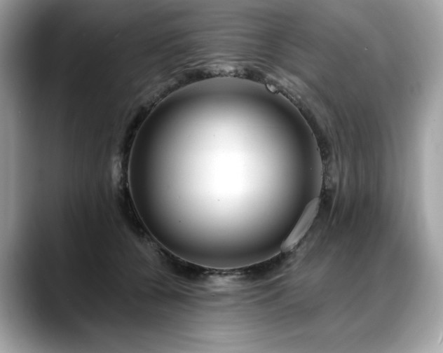 X0000088750560200705311514