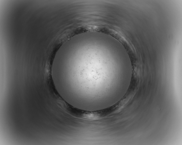 X0000088750561200705311514