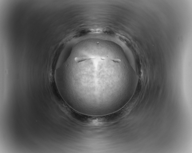 X0000088750564200705311514