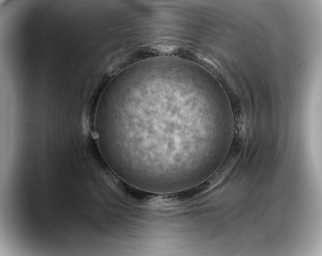 X0000088750568200705311514
