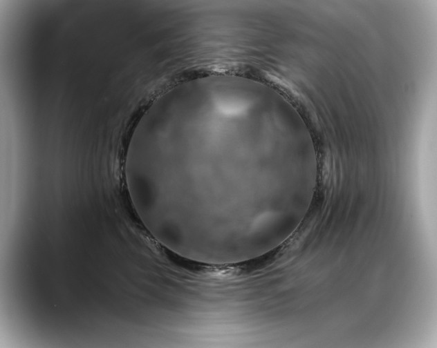 X0000088750569200705311514