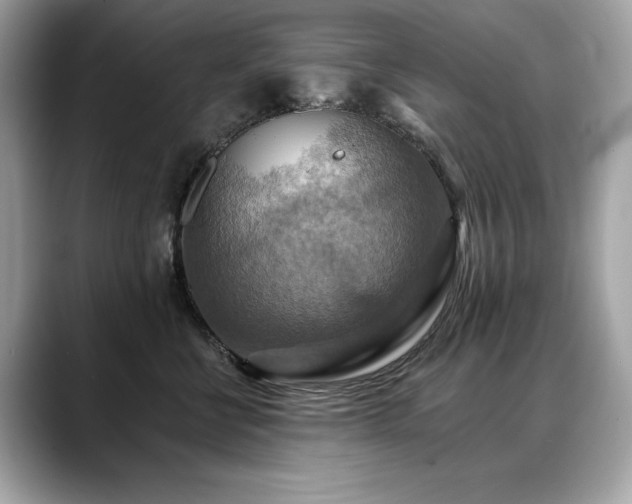 X0000088750570200705311514