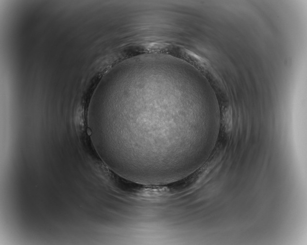 X0000088750571200705311514