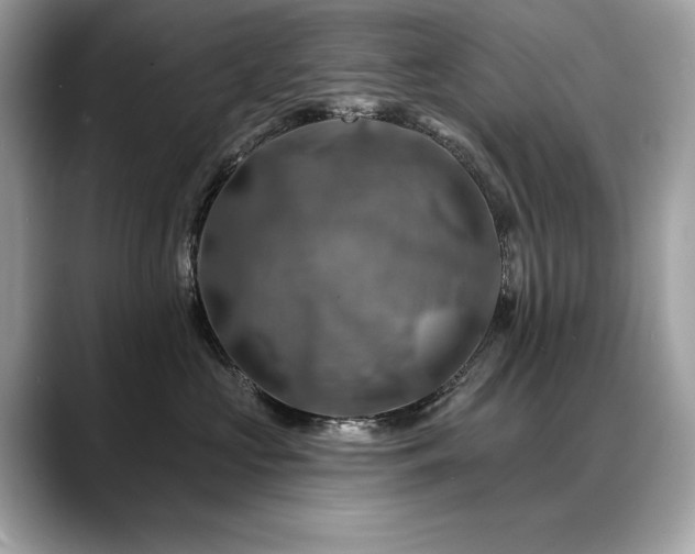 X0000088750573200705311514