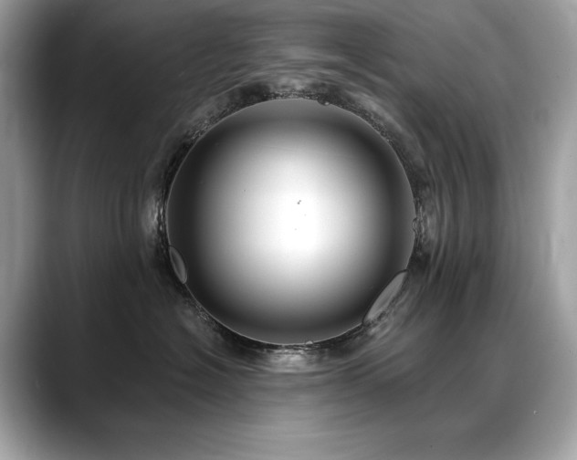 X0000088750574200705311514