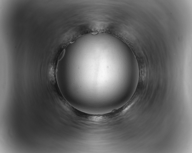 X0000088750575200705311514