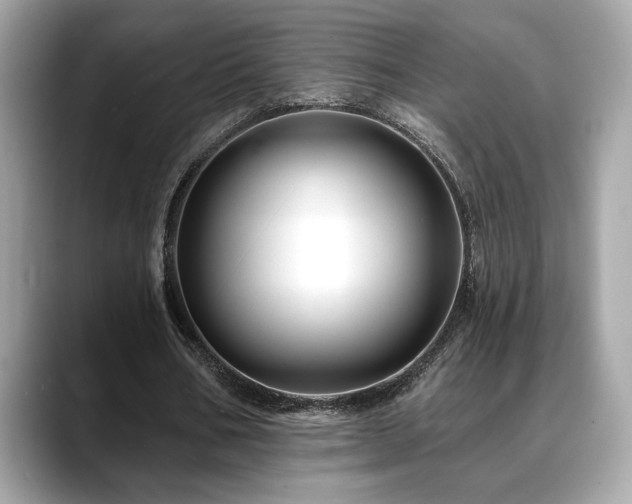 X0000088750578200705311513
