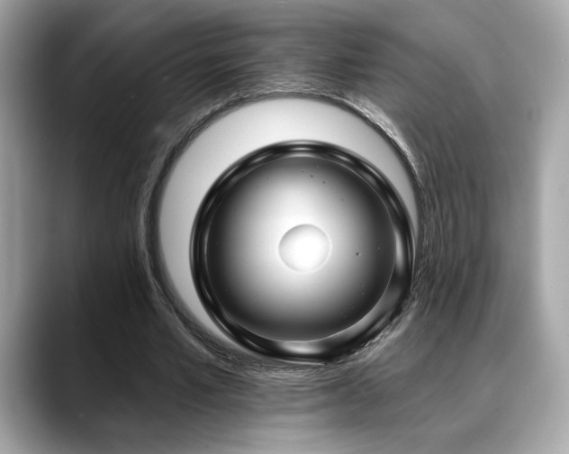 X0000088750581200705311513