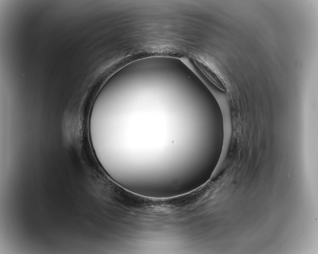 X0000088750583200705311513