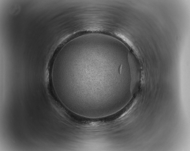 X0000088750584200705311513