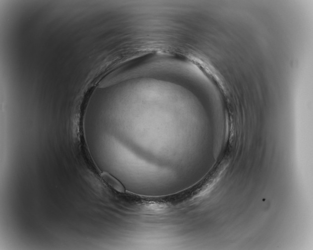 X0000088750585200705311513
