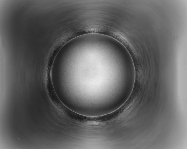 X0000088750586200705311513