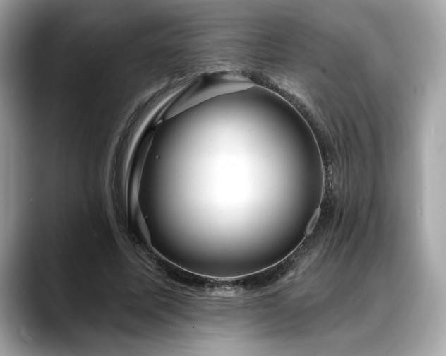 X0000088750587200705311513