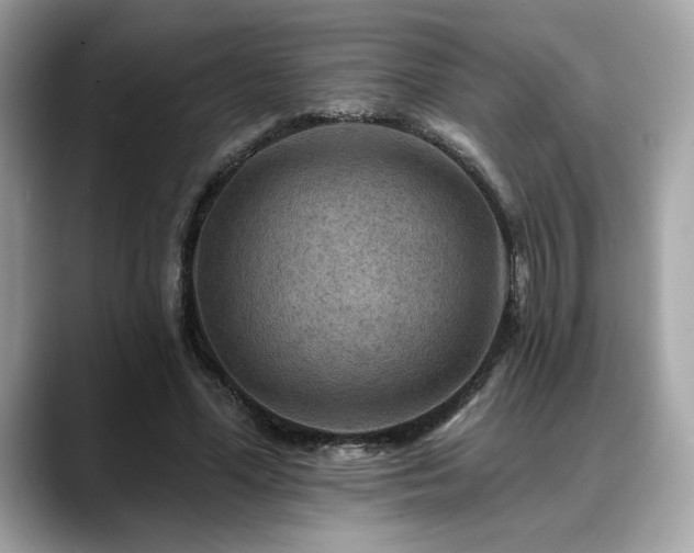 X0000088750588200705311513