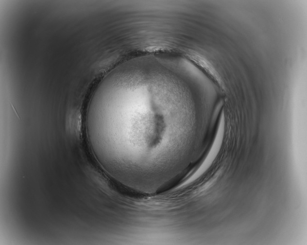 X0000088750589200705311513