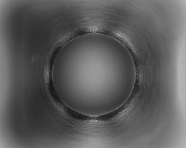 X0000088750590200705311513