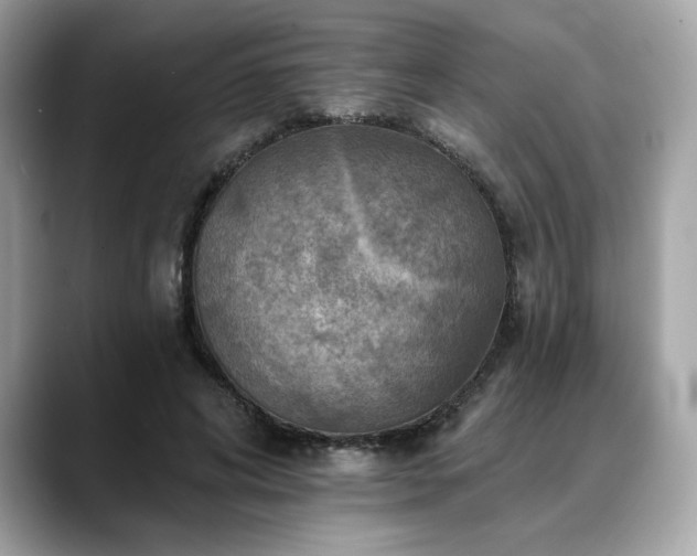 X0000088750592200705311513