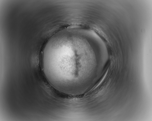 X0000088750593200705311513