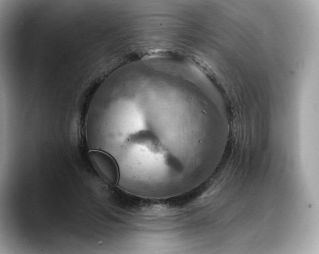 X0000088750594200705311513