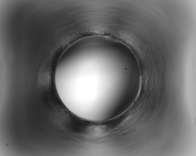 X0000088750595200705311513