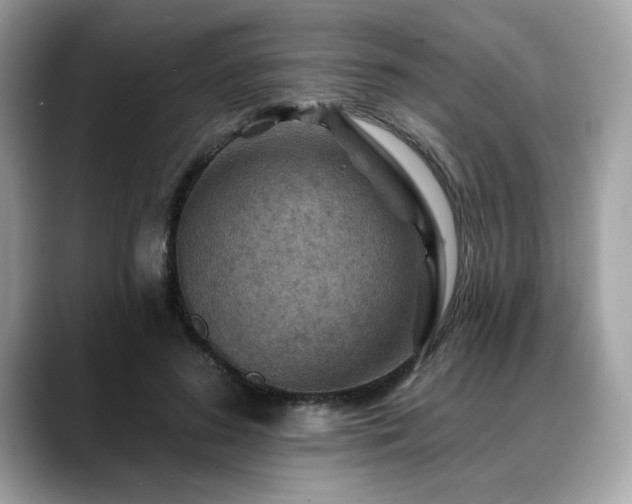 X0000088750596200705311513