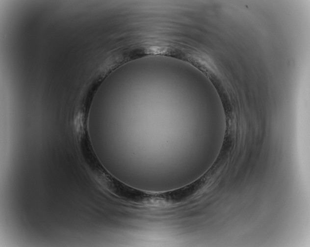 X0000088750598200705311513