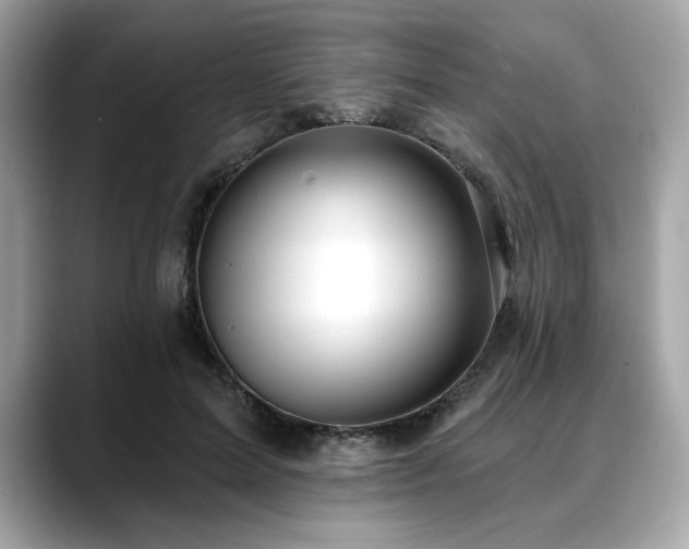 X0000088750599200705311513