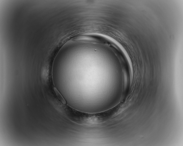 X0000088750600200705311513