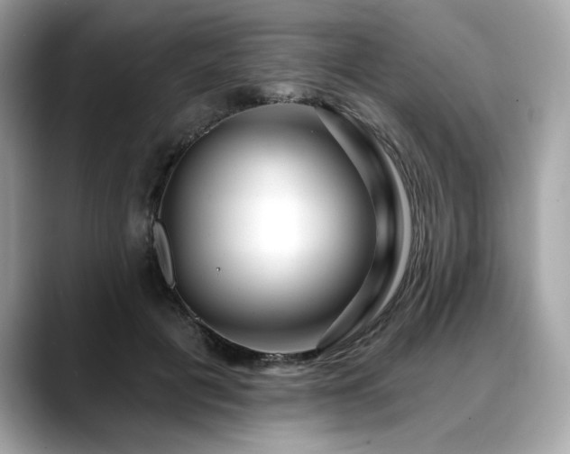 X0000088750601200705311513