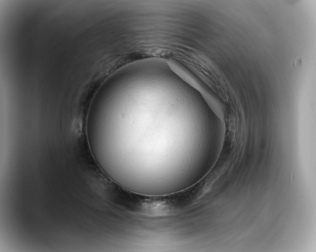 X0000088750602200705311513
