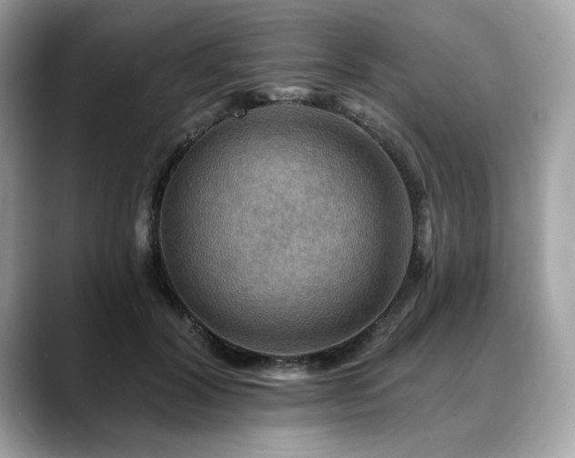X0000088750604200705311513