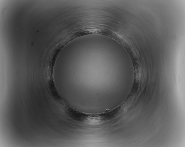 X0000088750606200705311513