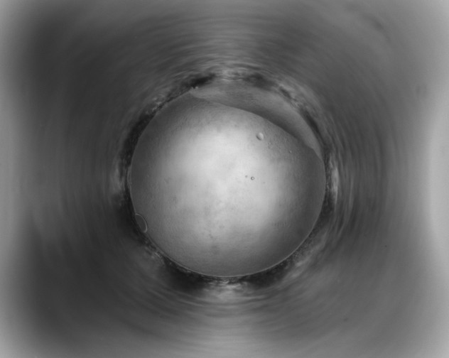 X0000088750607200705311513