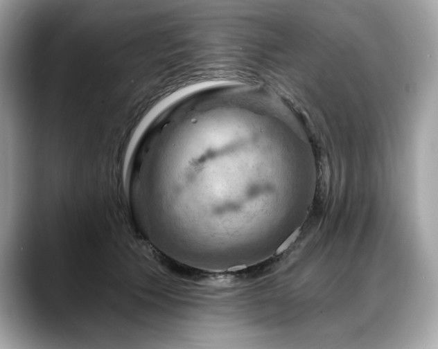 X0000088750609200705311513