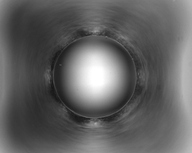 X0000088750612200705311513