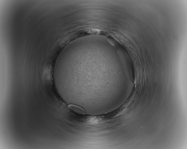 X0000088750616200705311513