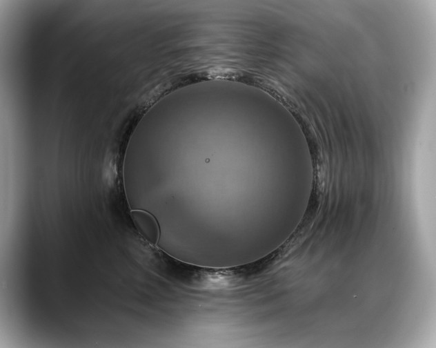 X0000088750618200705311513