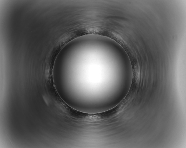 X0000088750619200705311513