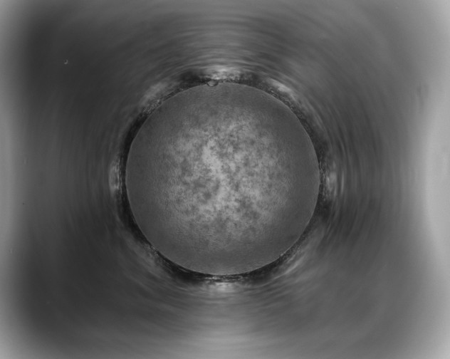 X0000088750620200705311513