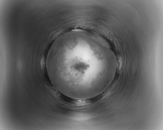 X0000088750623200705311513
