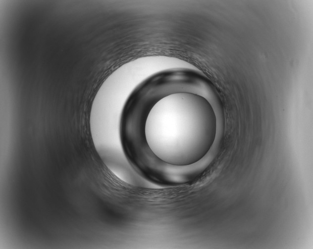 X0000088750624200705311513