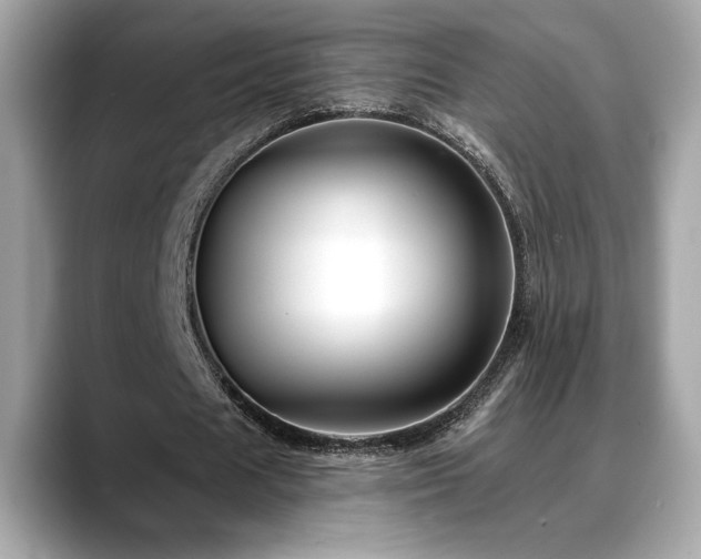 X0000088750625200705311512
