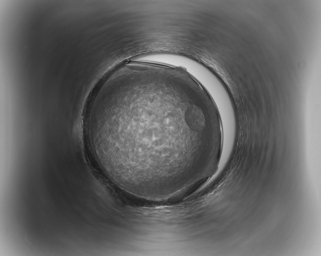 X0000088750626200705311512