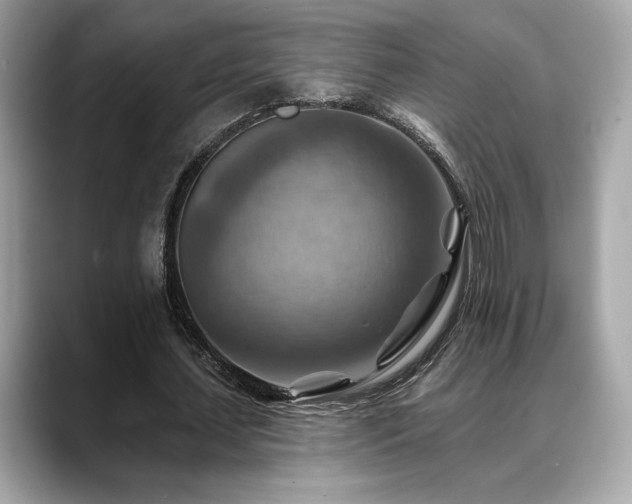 X0000088750627200705311512